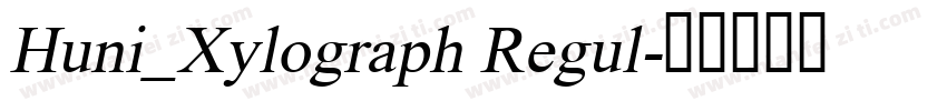 Huni_Xylograph Regul字体转换